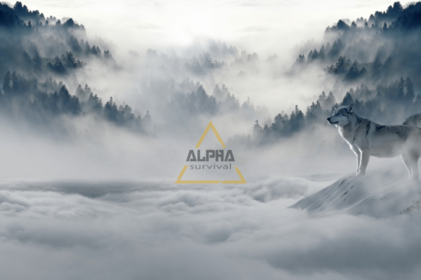 alpha-survival-4